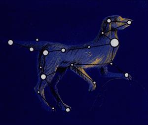 big dog constellation