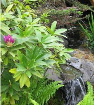 how to make a fountain in the country with your own hands