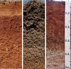 Soil classification