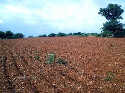 Physical characteristics of soils