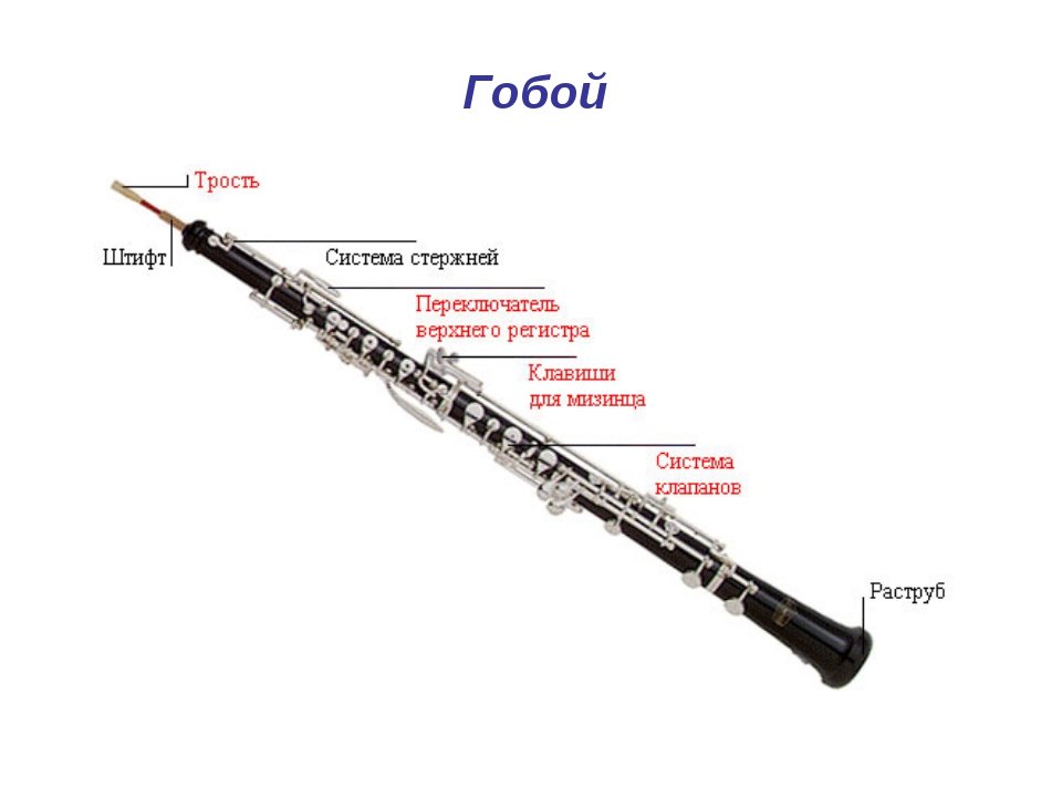 Scheme of the oboe.