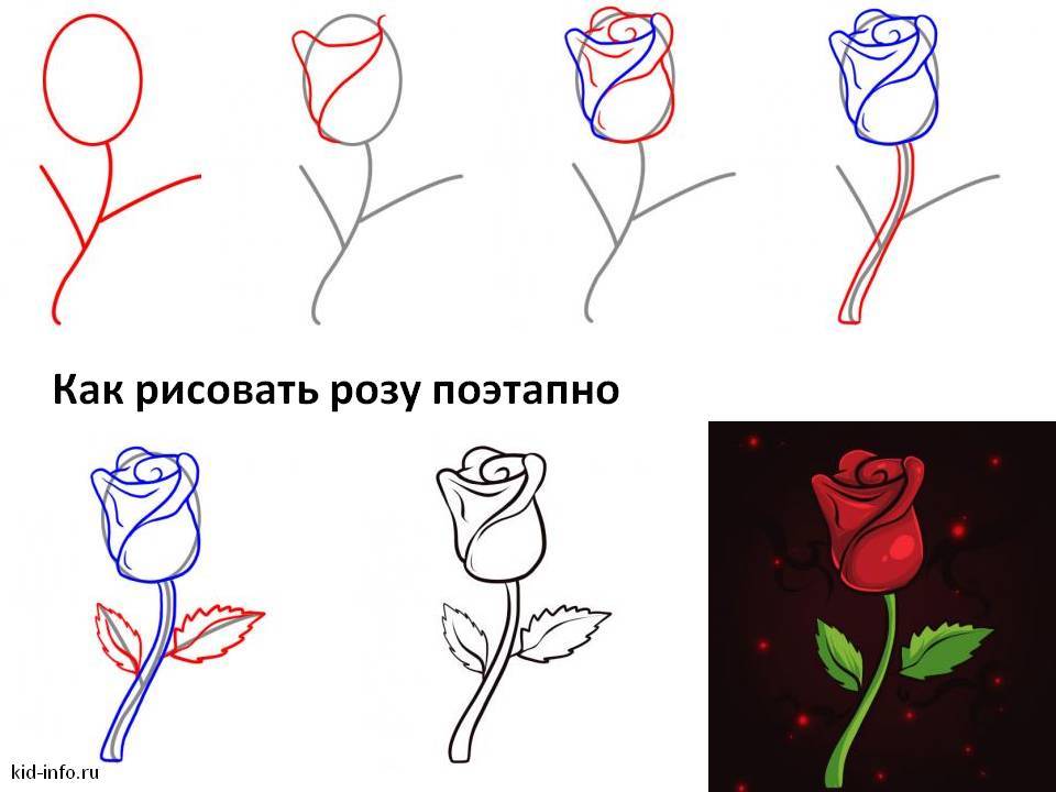 Рисунок поэтапно