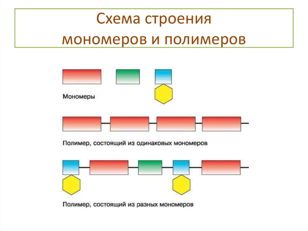 Схема мономеров