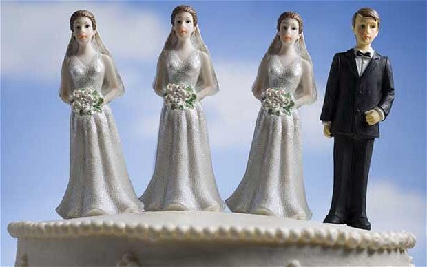 polygamy and monogamy