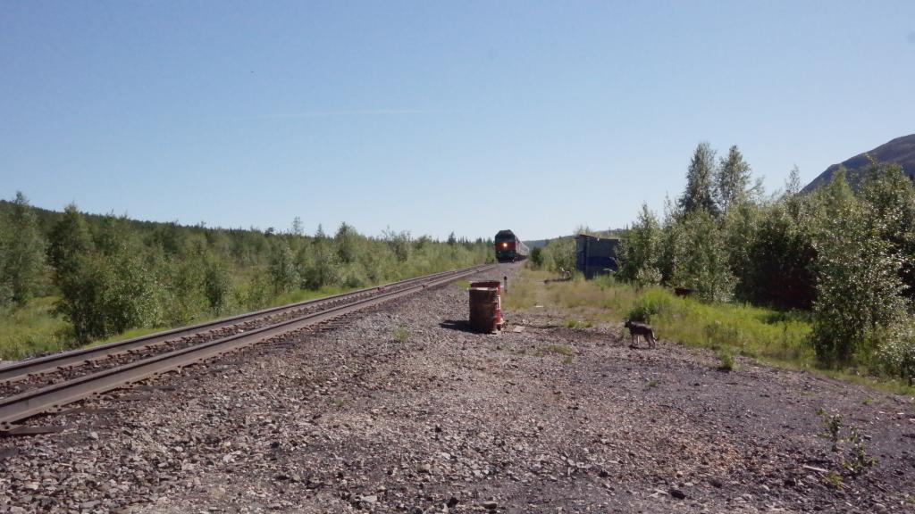 Доставка по железной дороге