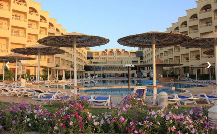 amc royal hotel отель категории 5 хургада египет 
