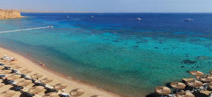 египет reef oasis beach resort 5