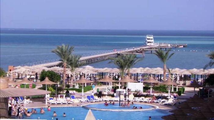 amc royal hotel 5 hurghada reviews