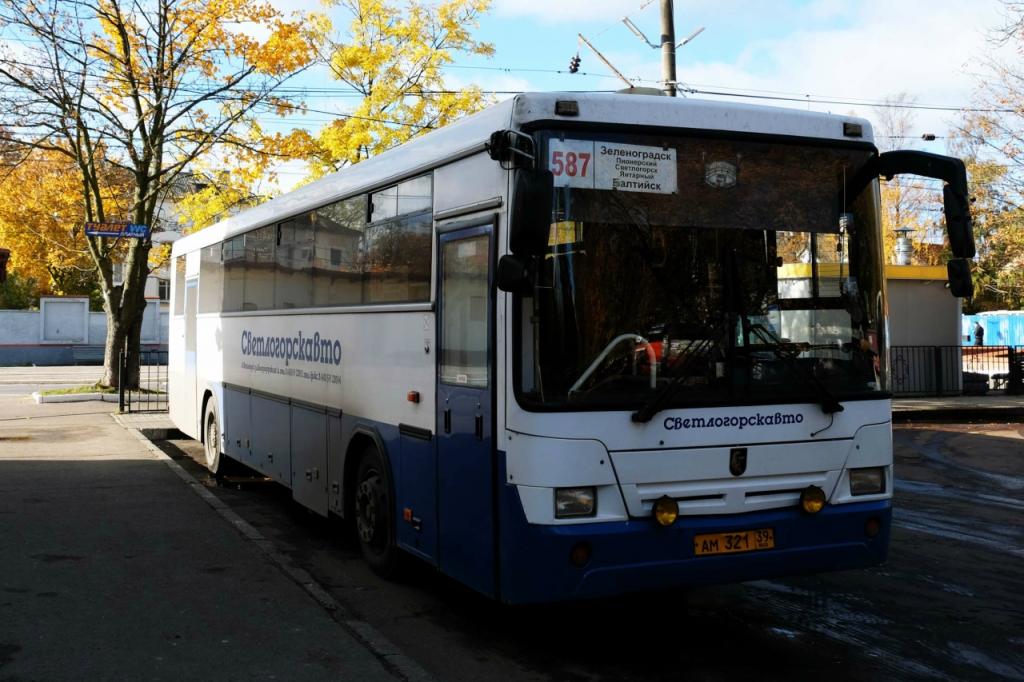 bus svetlogorsk