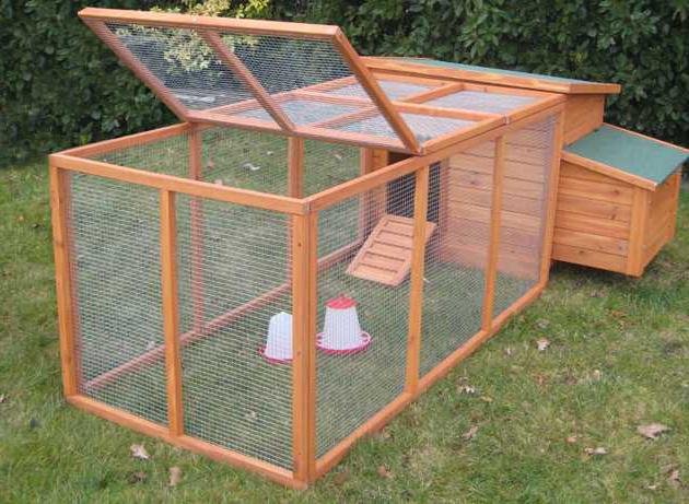 how to make a chicken coop for 10 hens