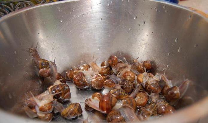 how to cook grape snails