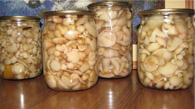 pickled butters recipe without sterilization for the winter