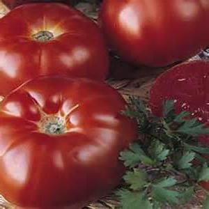 приготовить армянчики из красных помидоров на зиму