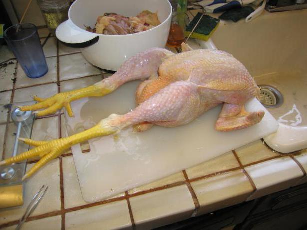 как ощипать курицу