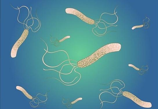 Helicobacter pylori treatment with folk remedies