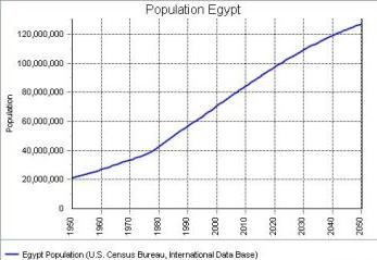численность населения Египта 2013