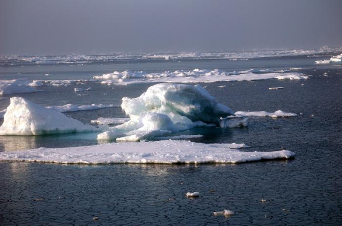 Восточно сибирское море фото