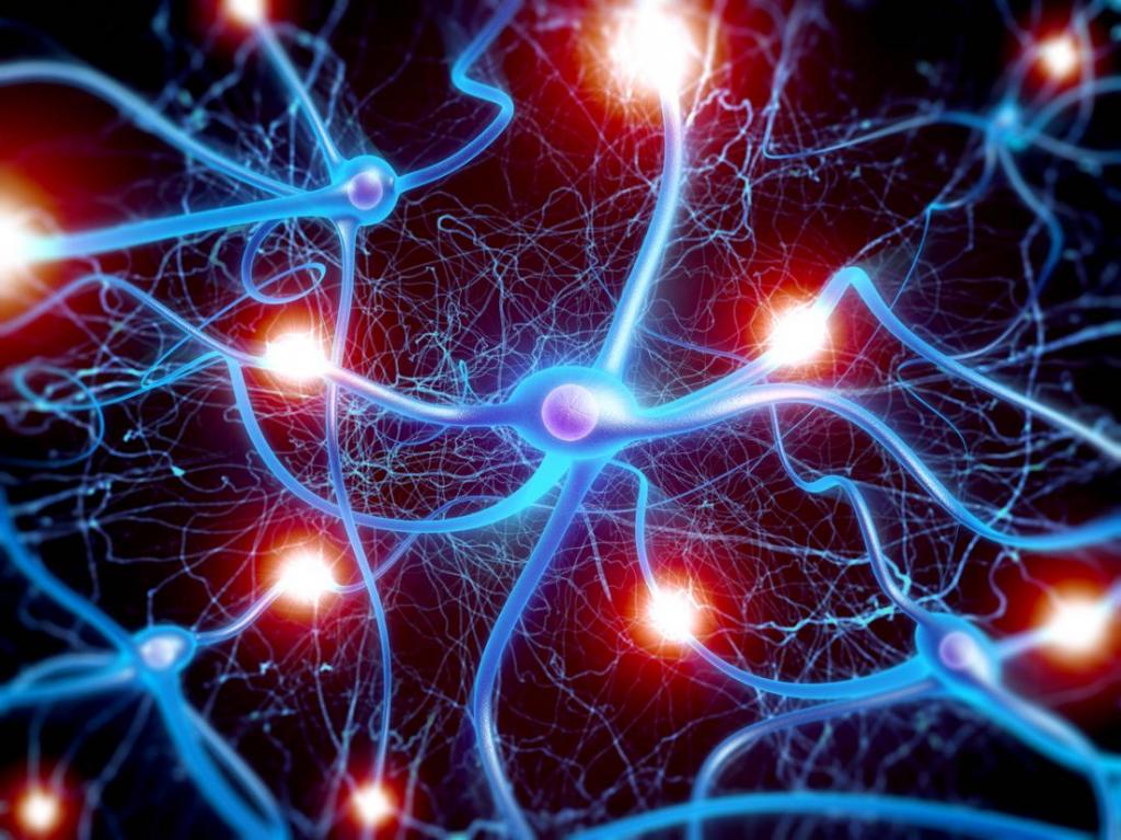 Нейроные связи