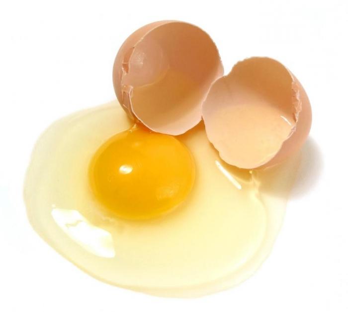 сколько белка в желтке яйца