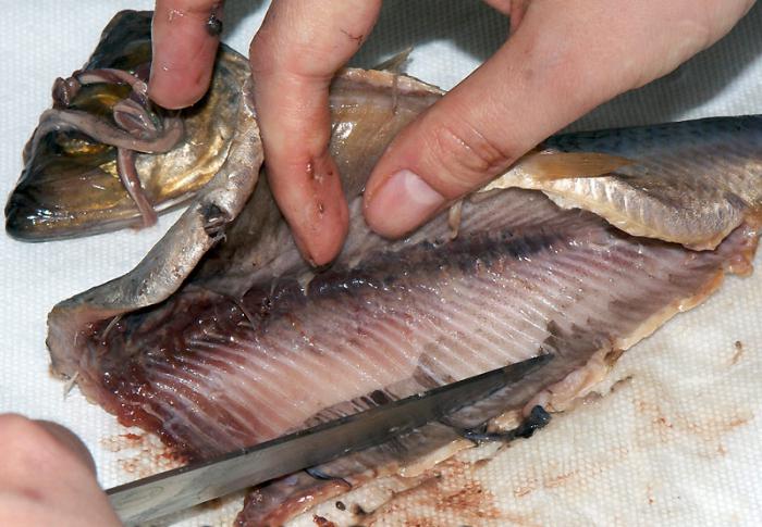 how to clean herring