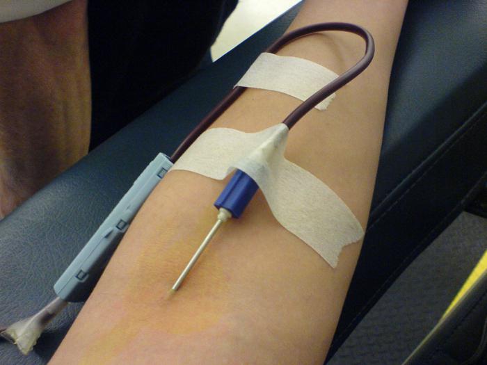 как сдать кровь на донорство 