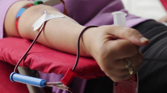 перед сдачей крови на донорство 