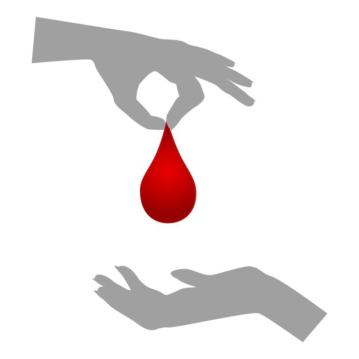 как стать донором крови 