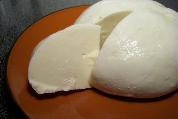 изготовление домашнего сыра из молока 