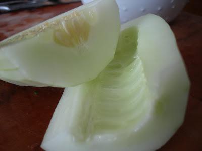 harvesting for the winter from overgrown cucumbers salads