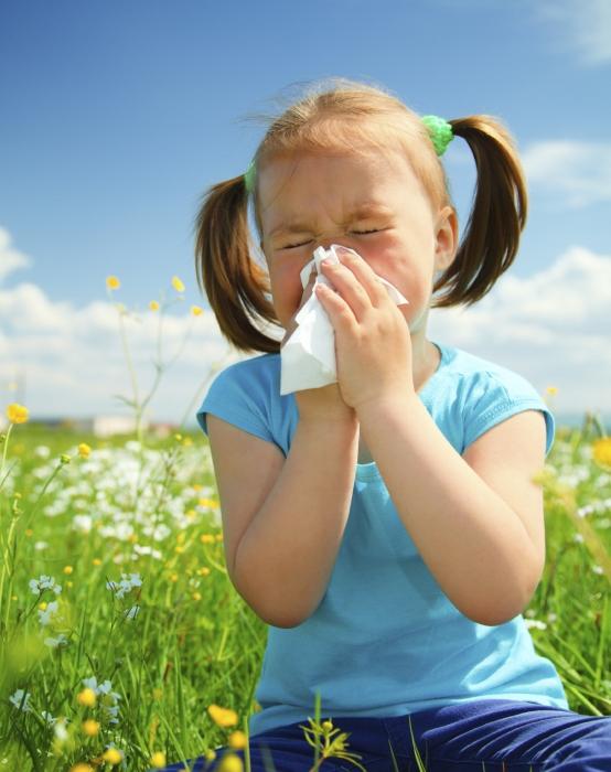 сезонный аллергический ринит лечение