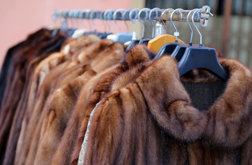 mink coat examination