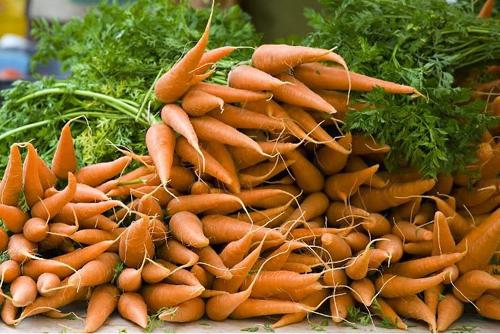 how to feed carrots in spring