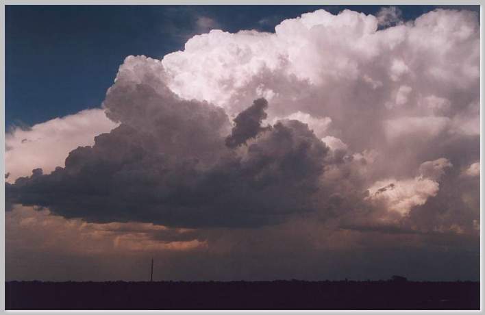 Cumulonimbus cloud species