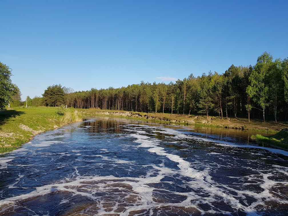 круиз жемчужина полесья