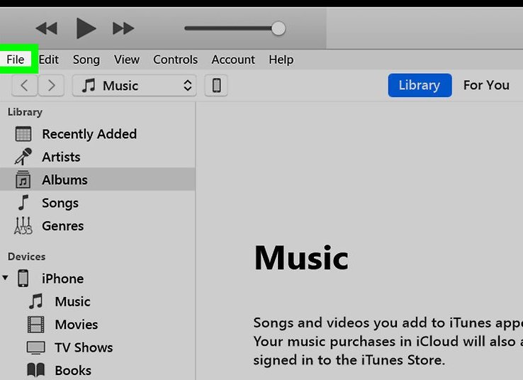 iTunes interface