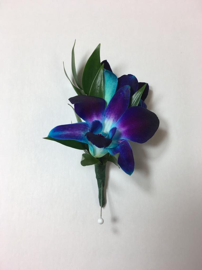 Синяя орхидея.
