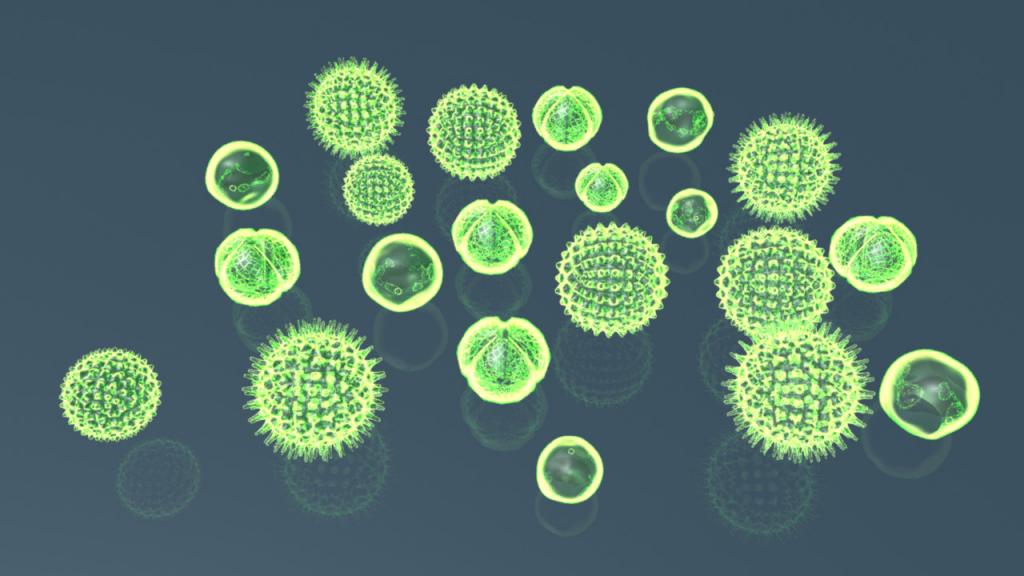 Phytoplankton model