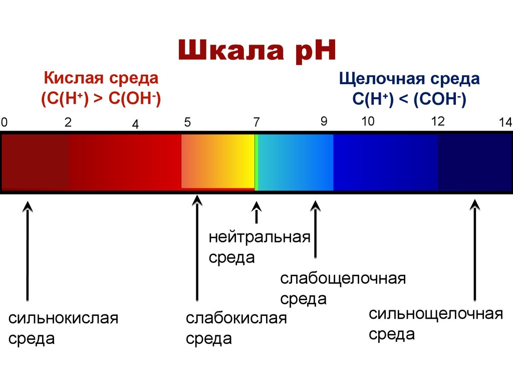 Шкала кислотности среды.