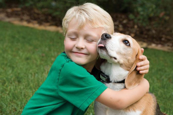 best dogs for kids