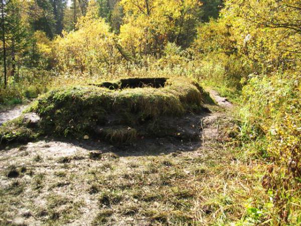 Таловские чаши фото