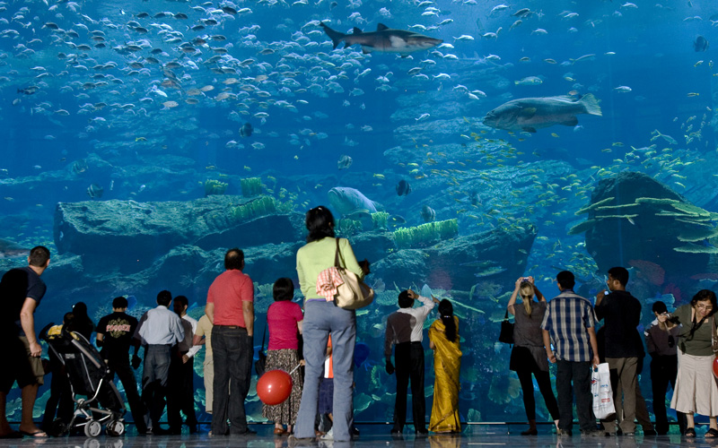 Aquarium in Dubai