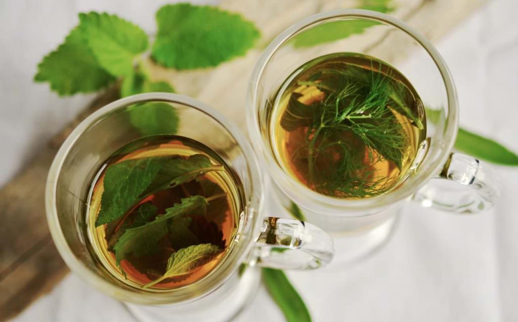 Infusions of herbs with pyelonephritis