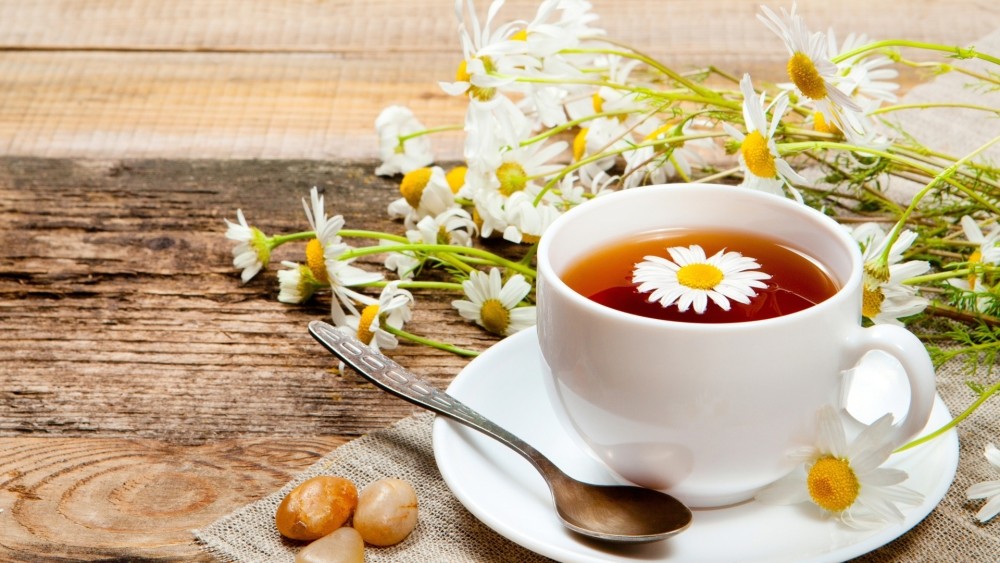 Chamomile with pyelonephritis