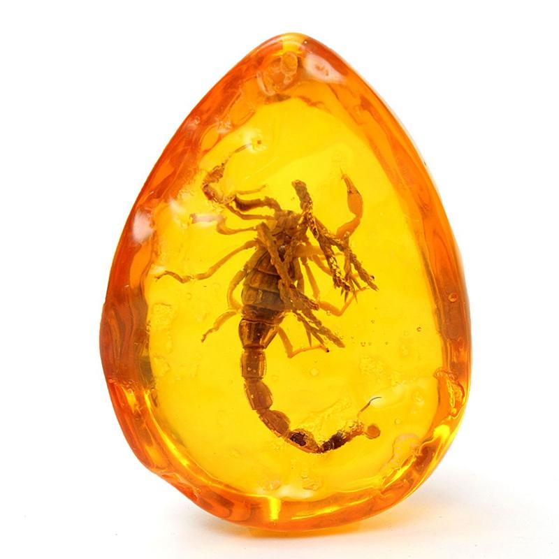 Baltic amber