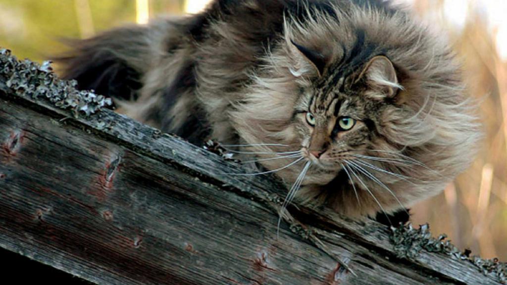 &amp;ETH;&amp;yen;&amp;ETH;&amp;deg;&amp;Ntilde;&amp;ETH;&amp;deg;&amp;ETH;&amp;ordm;&amp;Ntilde;&amp;ETH;&amp;micro;&amp;Ntilde; &amp;ETH;&amp;raquo;&amp;ETH;&amp;micro;&amp;Ntilde;&amp;ETH;&amp;frac12;&amp;ETH;&amp;frac34;&amp;ETH;&amp;sup1; &amp;ETH;&amp;ordm;&amp;ETH;&amp;frac34;&amp;Ntilde;&amp;ETH;&amp;ordm;&amp;ETH;&amp;cedil;