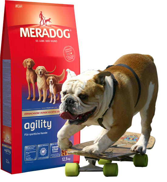 "Meradog Agility"