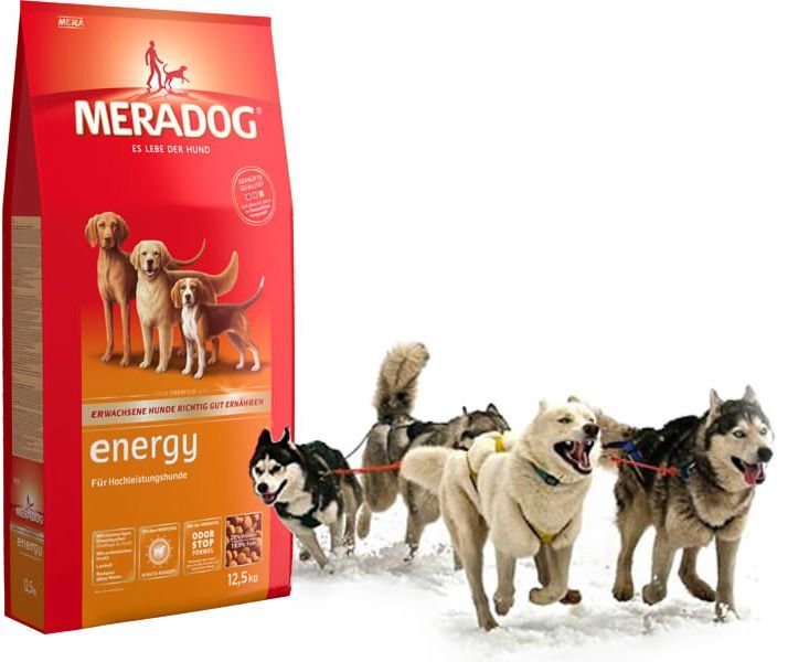 For dogs with a high level of activity