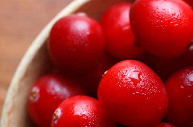 Lingonberry is good for the kidneys.