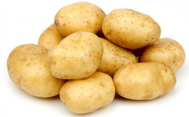 сорт картофеля гала