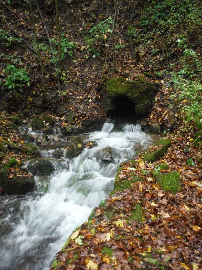 Криница с чистой водой